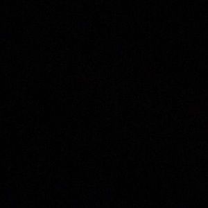 Meet your Posher, Marlee